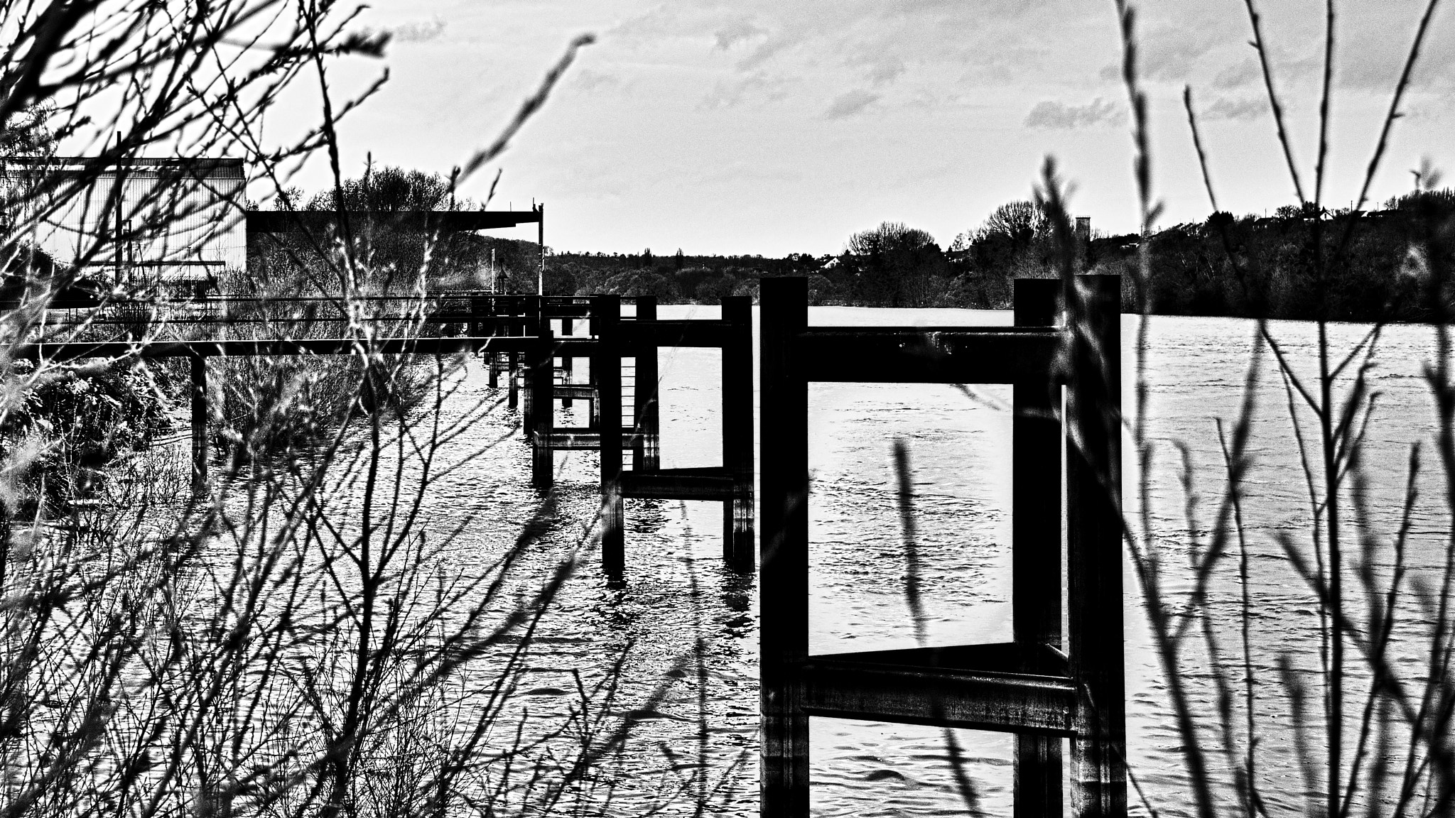 Nikon D90 sample photo. Mise en seine... photography