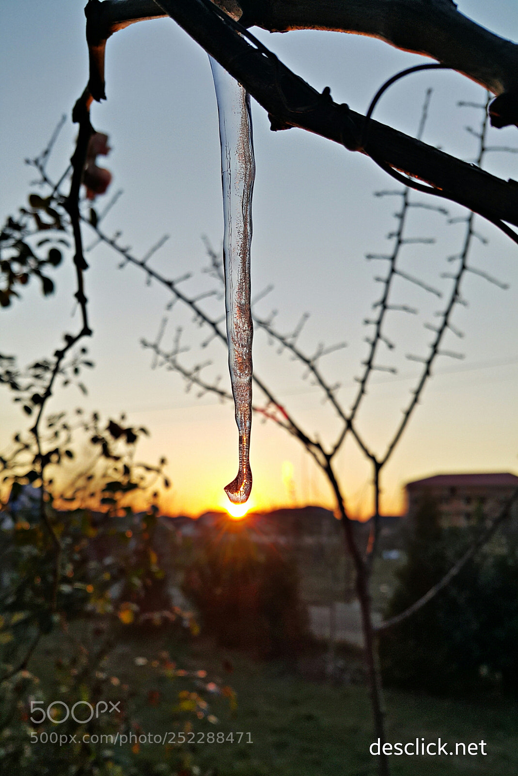 Samsung Galaxy Note4 sample photo. Coldness be gone ... photography