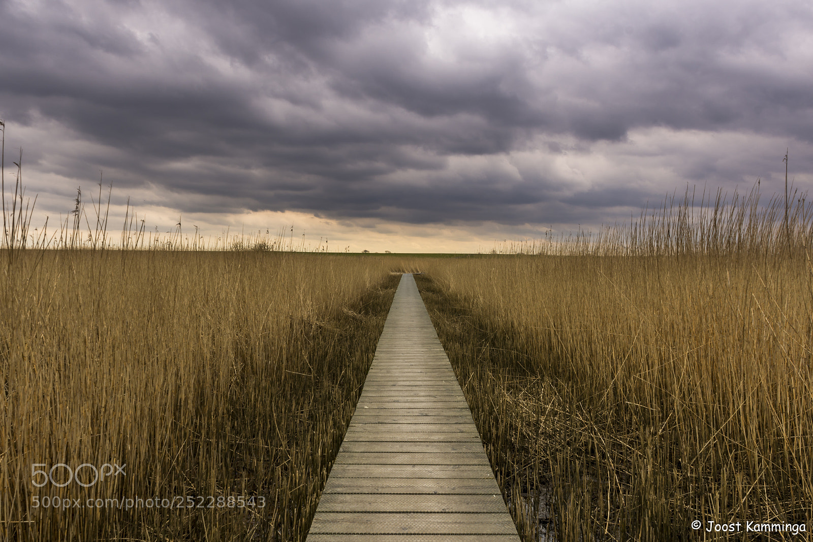 Nikon D7200 sample photo. Dark clouds photography