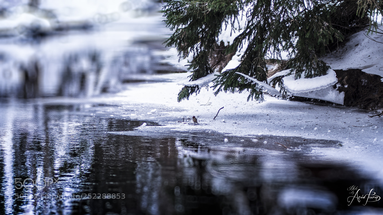 Nikon D7100 sample photo. Nature at its best photography