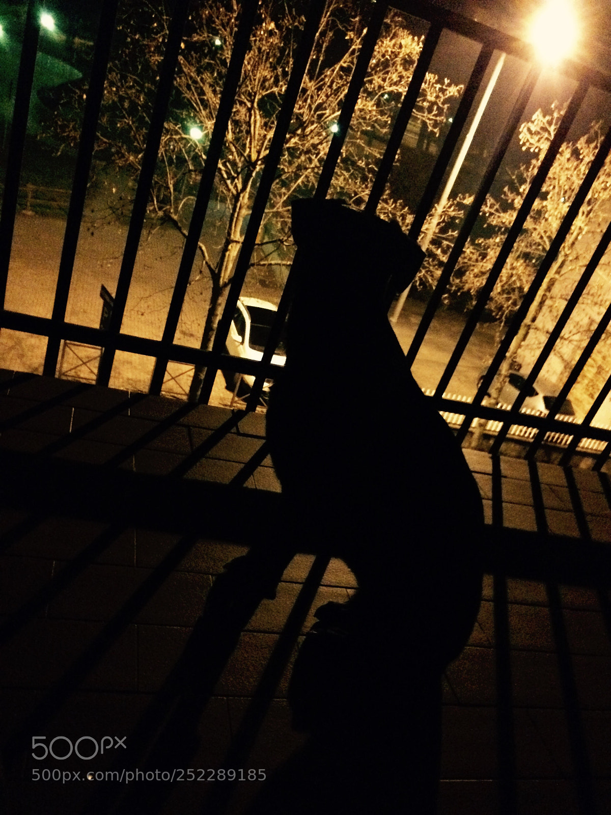 Apple iPhone 5s sample photo. Untitled photography