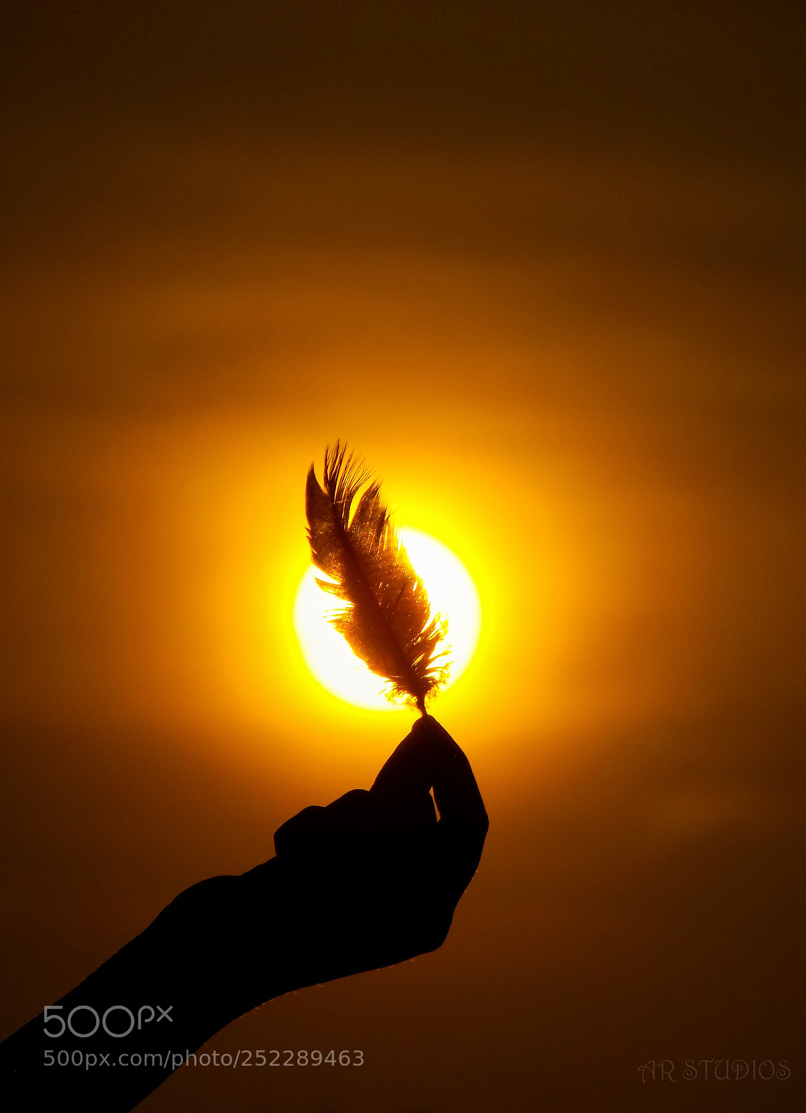 Nikon COOLPIX L340 sample photo. Golden feathers photography