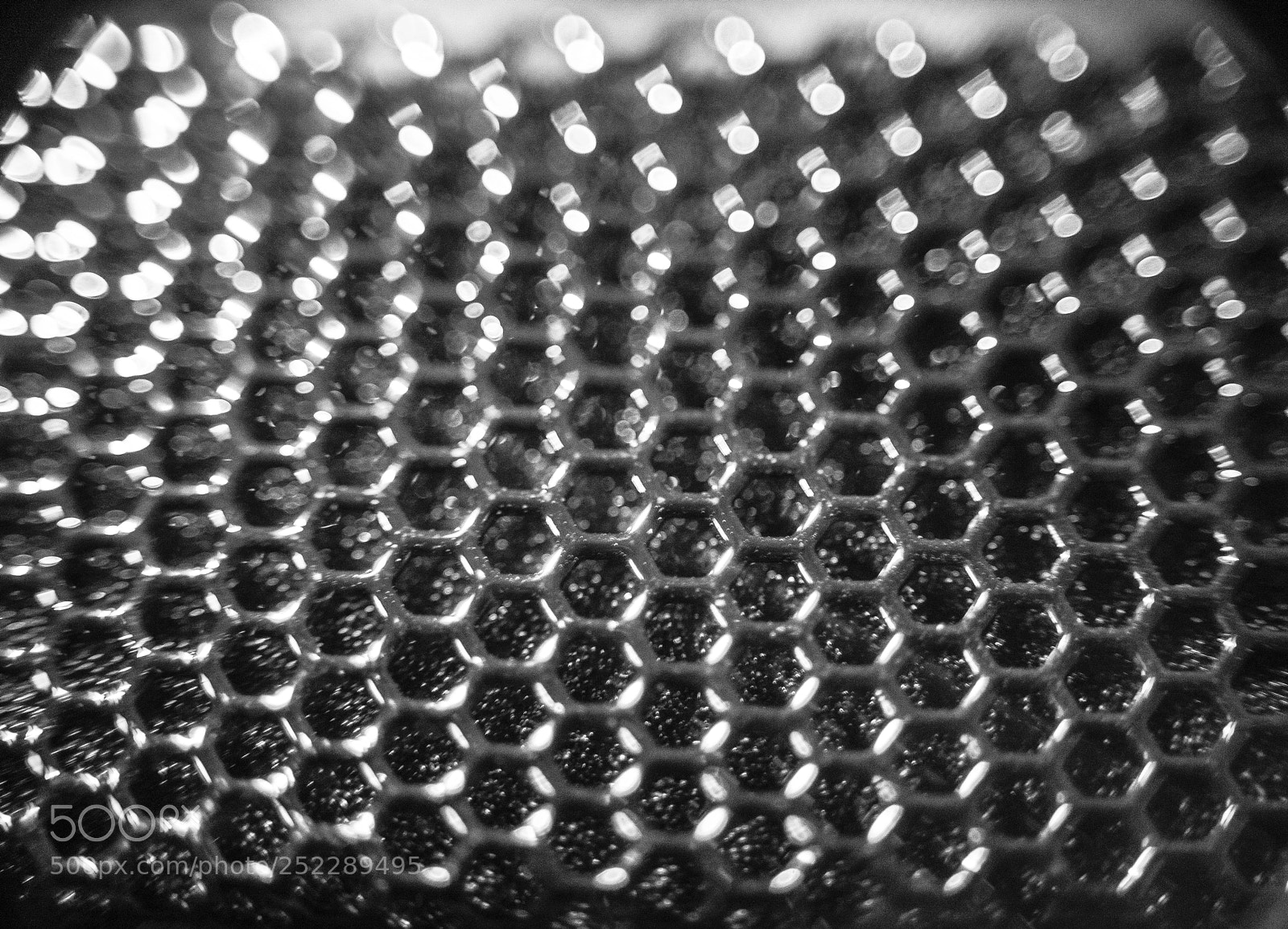 Nikon D800 sample photo. Alien surface... photography