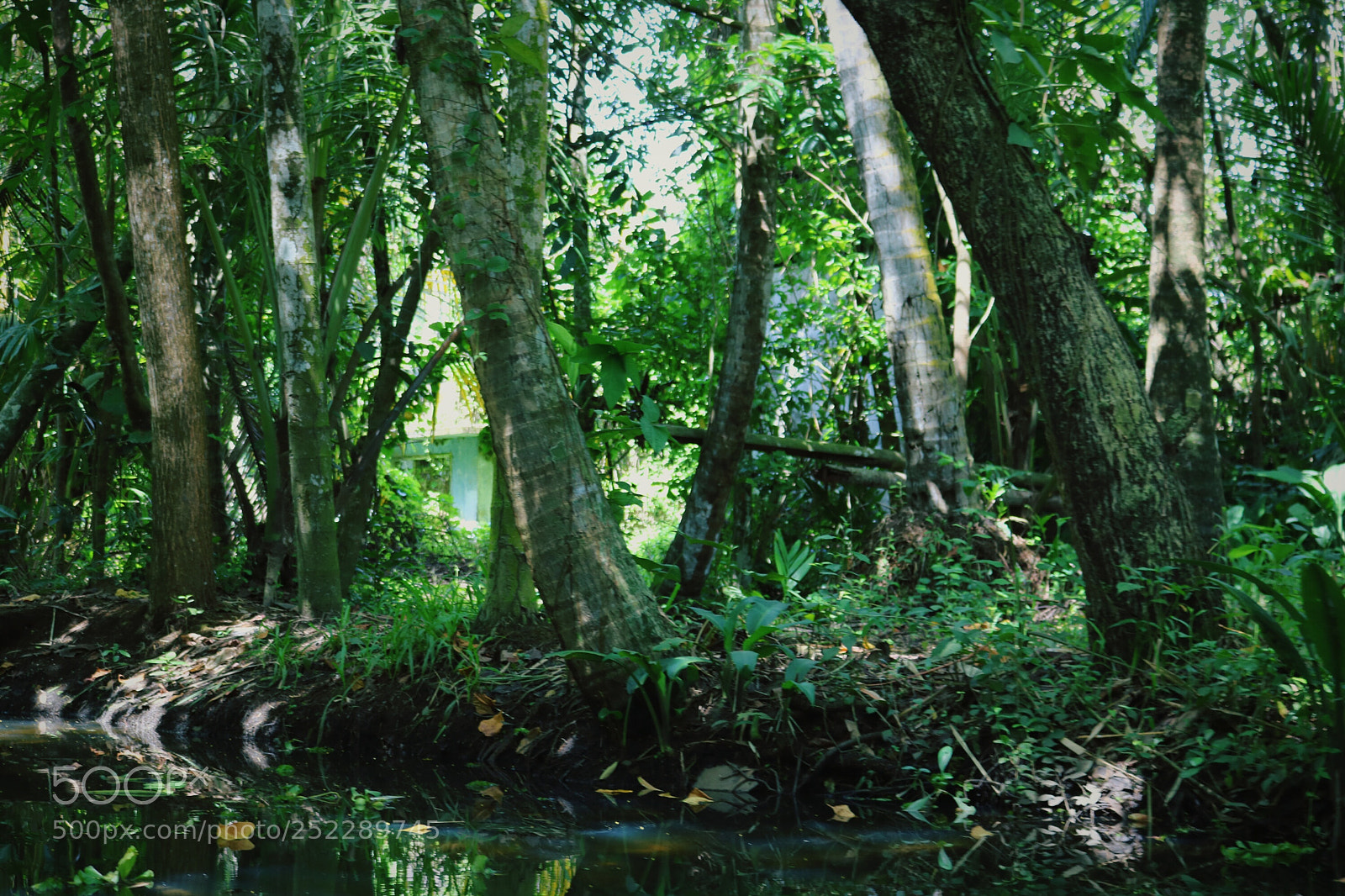 Canon EOS 750D (EOS Rebel T6i / EOS Kiss X8i) sample photo. Moody landscapes photography