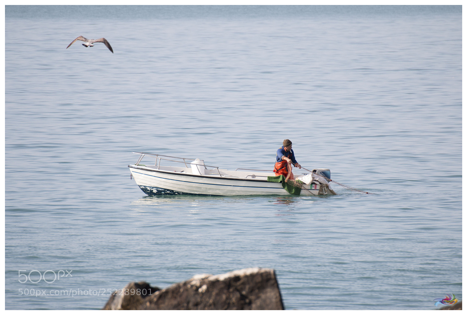 Canon EOS 70D sample photo. Untitled photography