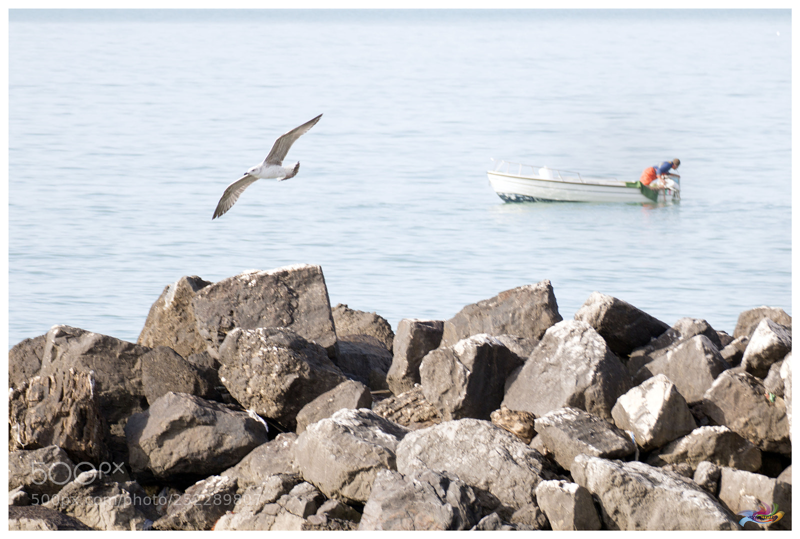 Canon EOS 70D sample photo. Untitled photography