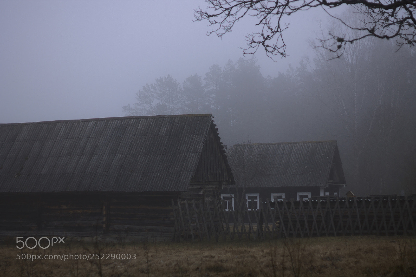 Canon EOS 1100D (EOS Rebel T3 / EOS Kiss X50) sample photo. The misty morning photography