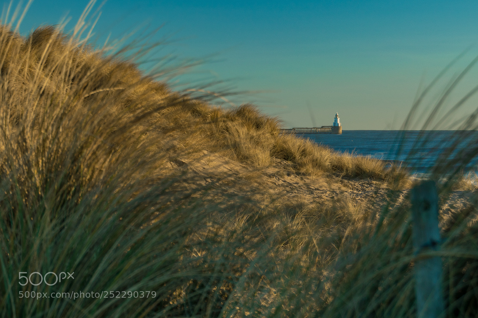 Nikon D5500 sample photo. Light in the dunes photography