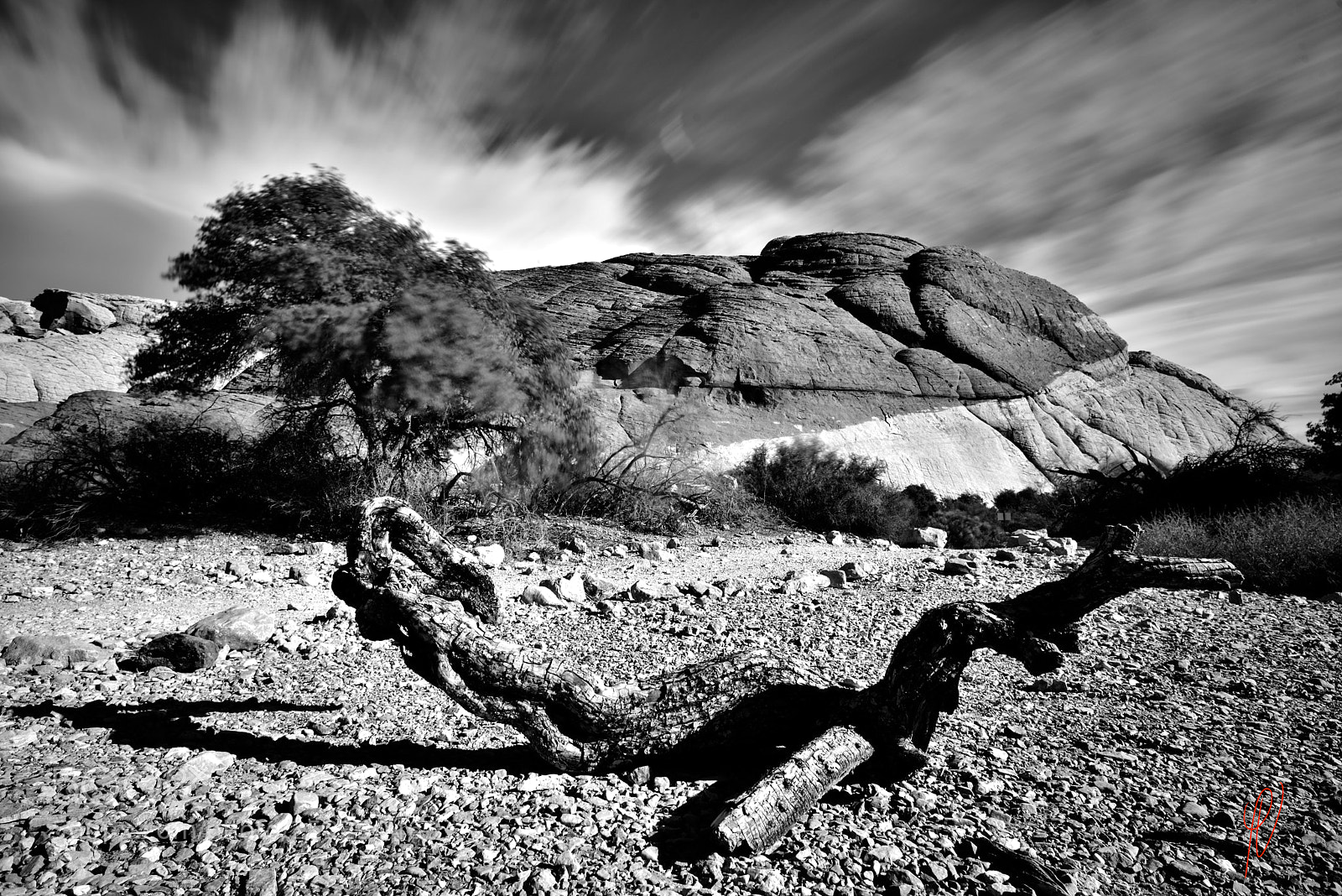 Nikon D750 sample photo. Nevada landscapes photography