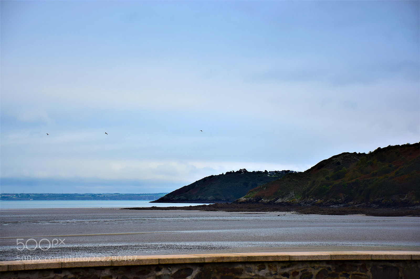 Nikon D5300 sample photo. Three birds photography
