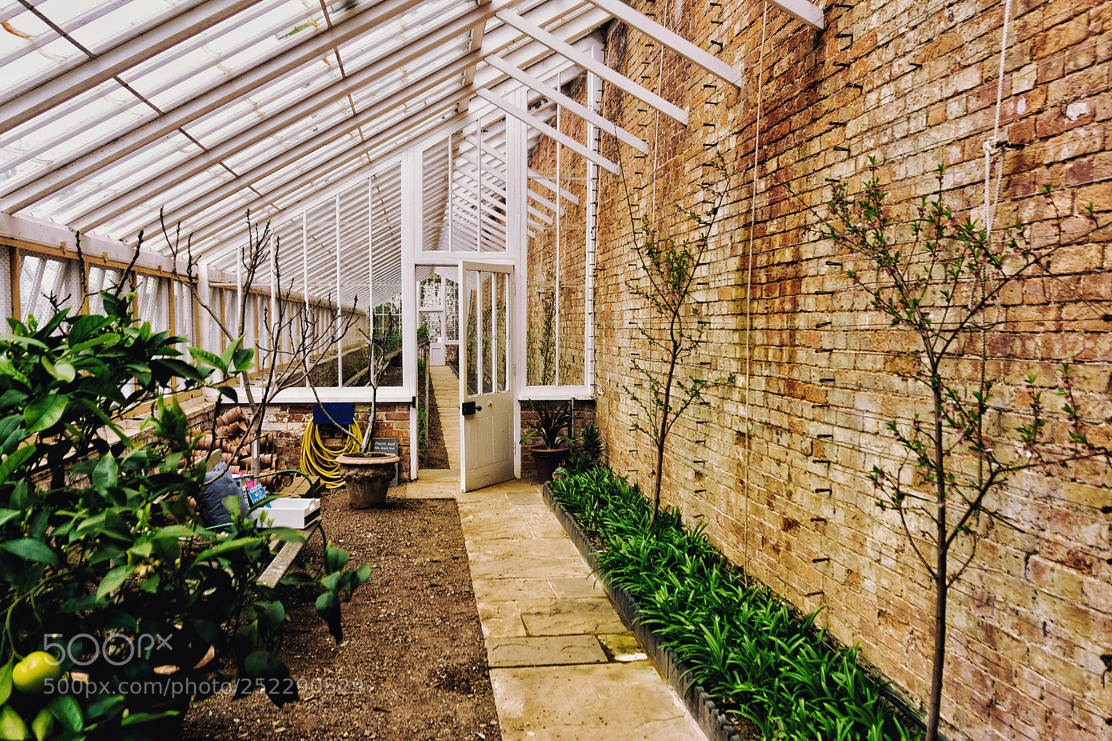 Sony a6000 sample photo. Agatha's glasshouse photography