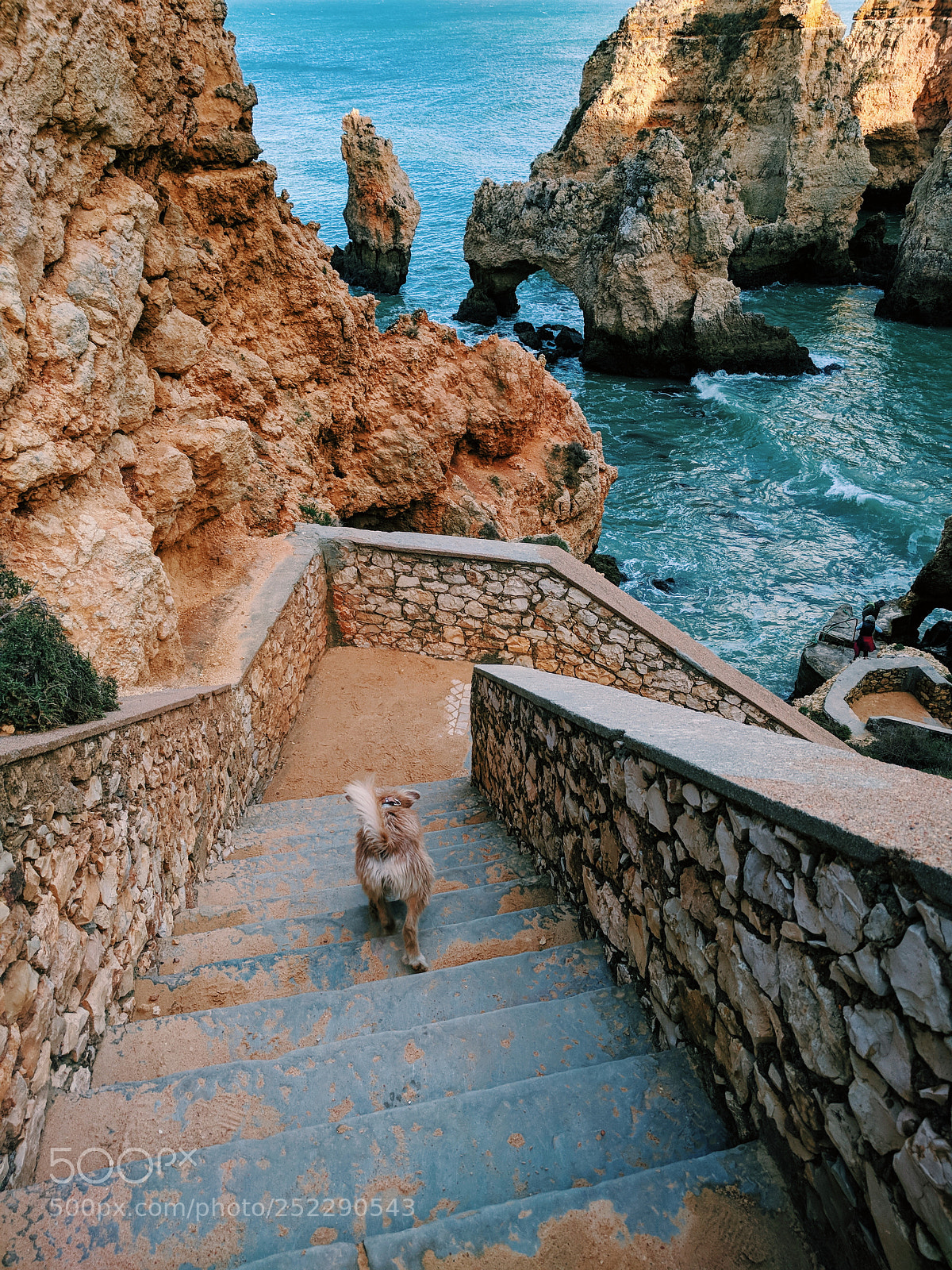 Google Nexus 6P sample photo. Ponta da piedade photography