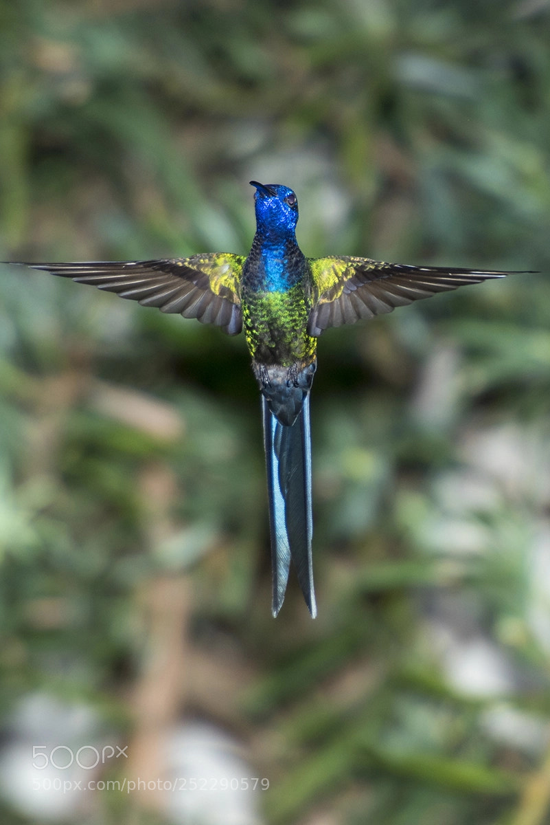 Nikon D810 sample photo. Nature wonder photography