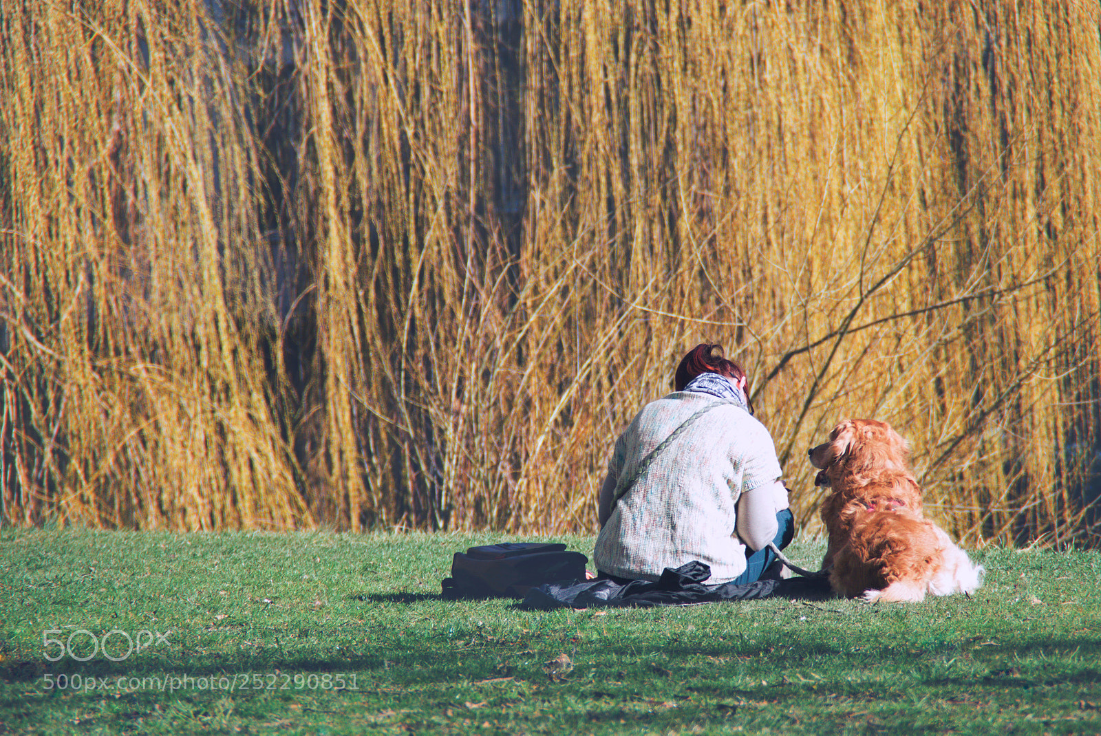 Nikon D5300 sample photo. ::: unconditional togetherness ::: photography