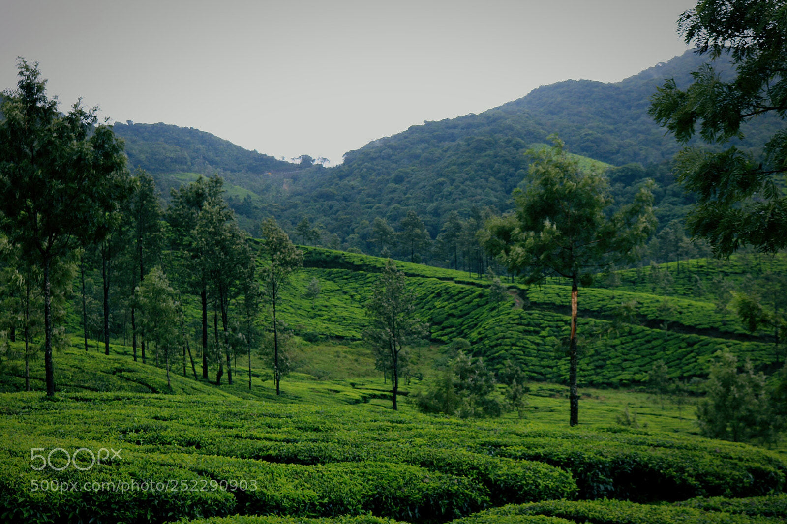 Canon EOS 750D (EOS Rebel T6i / EOS Kiss X8i) sample photo. Moody landscapes photography