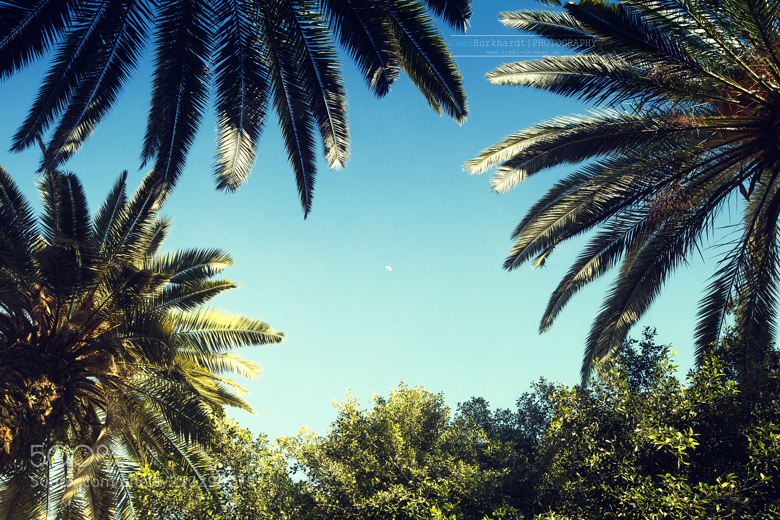 Canon EOS 5D Mark II sample photo. Teneriffa palmenmond perf wasser photography