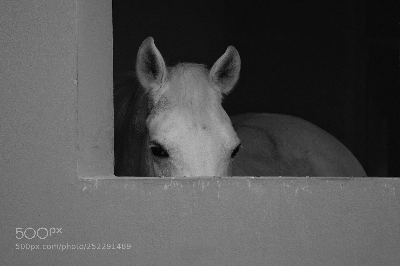 Nikon D5300 sample photo. Untitled photography