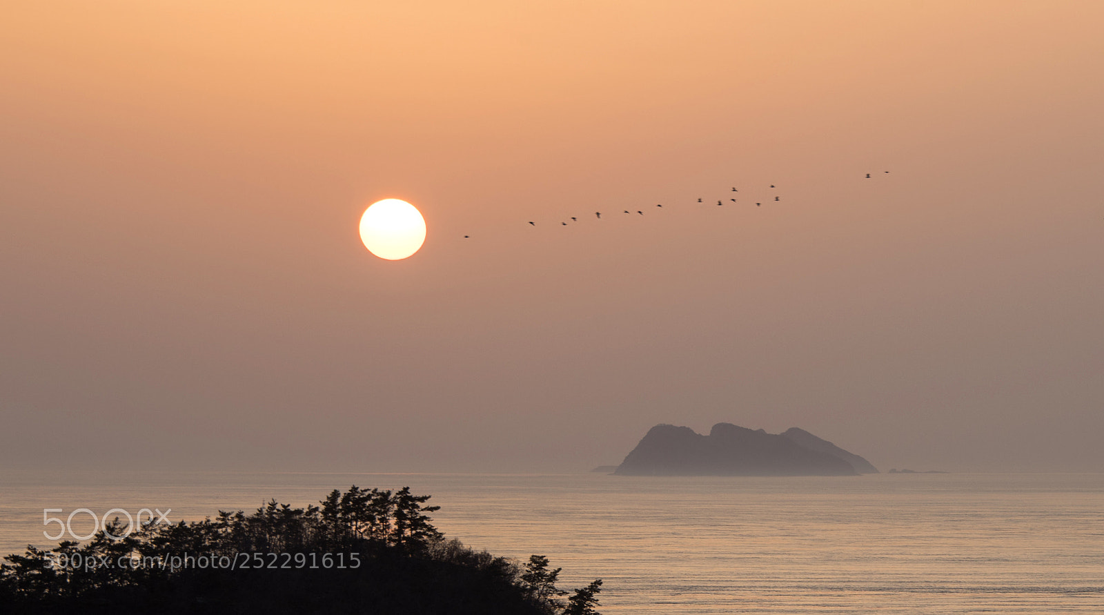 Nikon D810 sample photo. Sunset photography