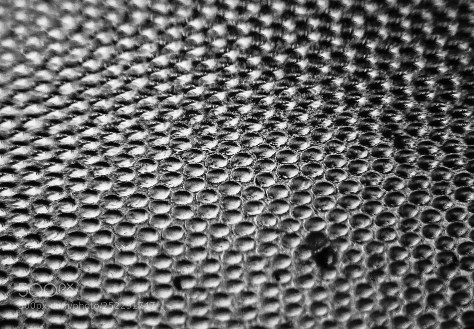 Nikon D800 sample photo. Just magic!... vol. 1 photography