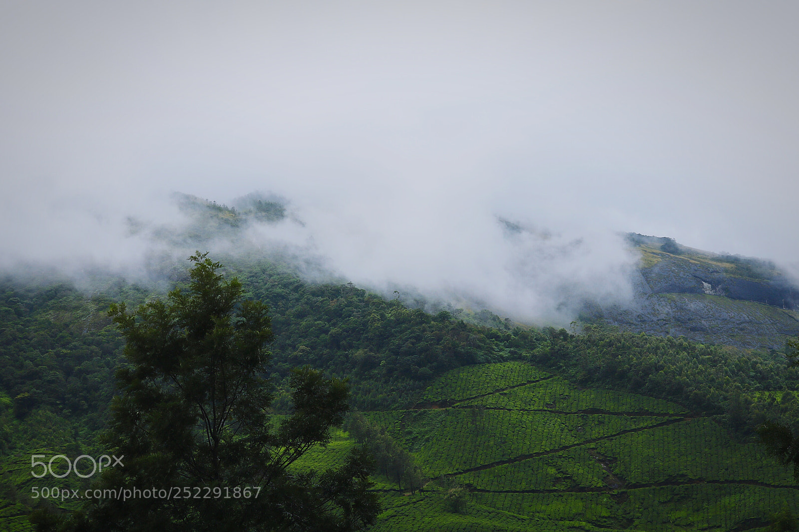 Canon EOS 750D (EOS Rebel T6i / EOS Kiss X8i) sample photo. Moody landscapes photography