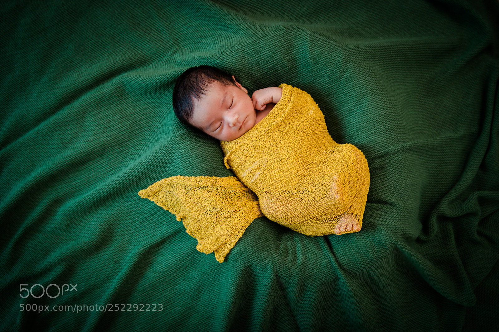 Canon EOS-1D Mark III sample photo. Untitled photography