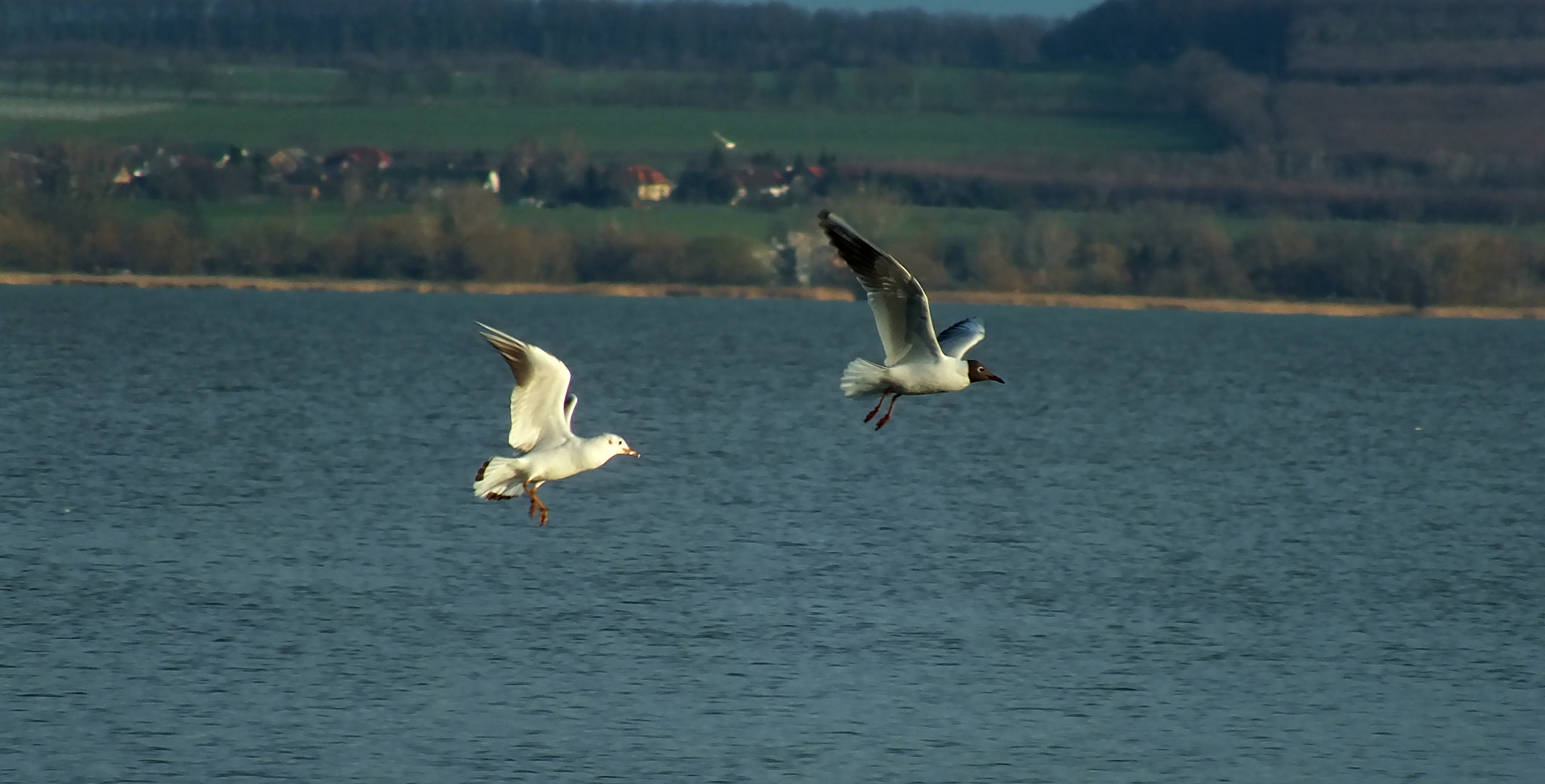 Fujifilm FinePix HS25EXR sample photo. Balaton photography