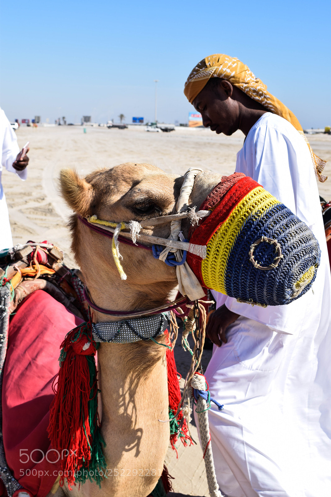 Nikon D3300 sample photo. Camel2 photography