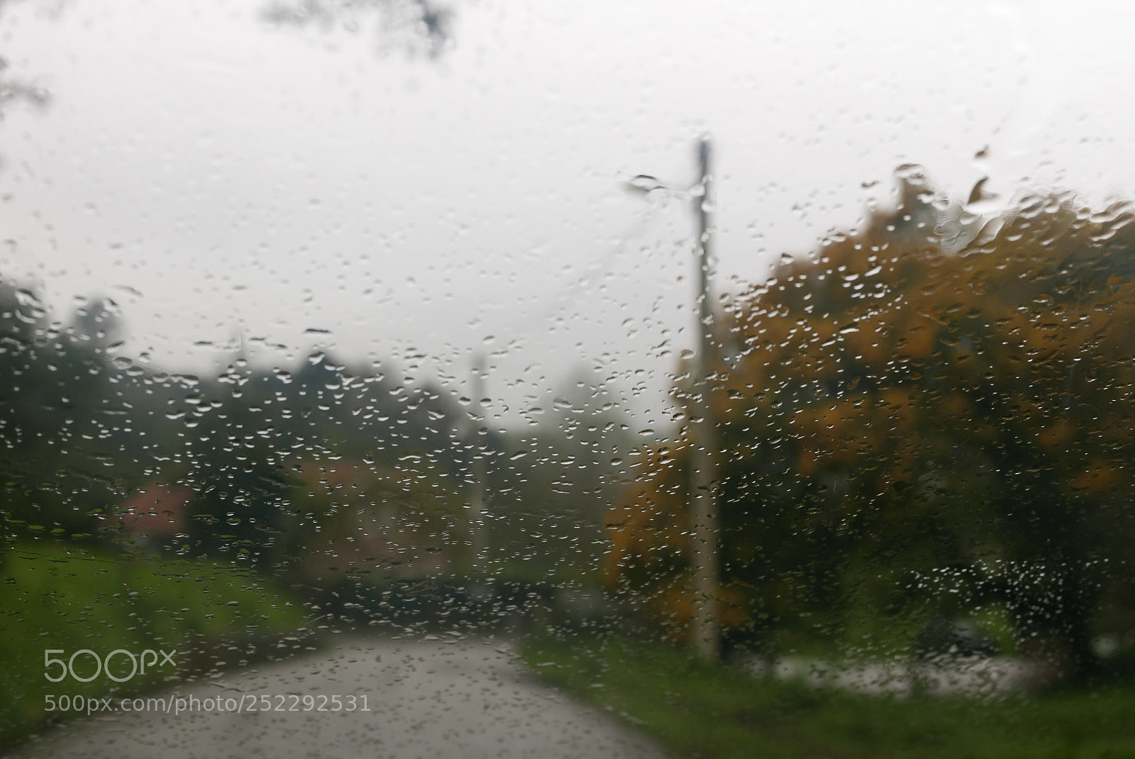 Panasonic Lumix DMC-LX100 sample photo. Spring rain... photography