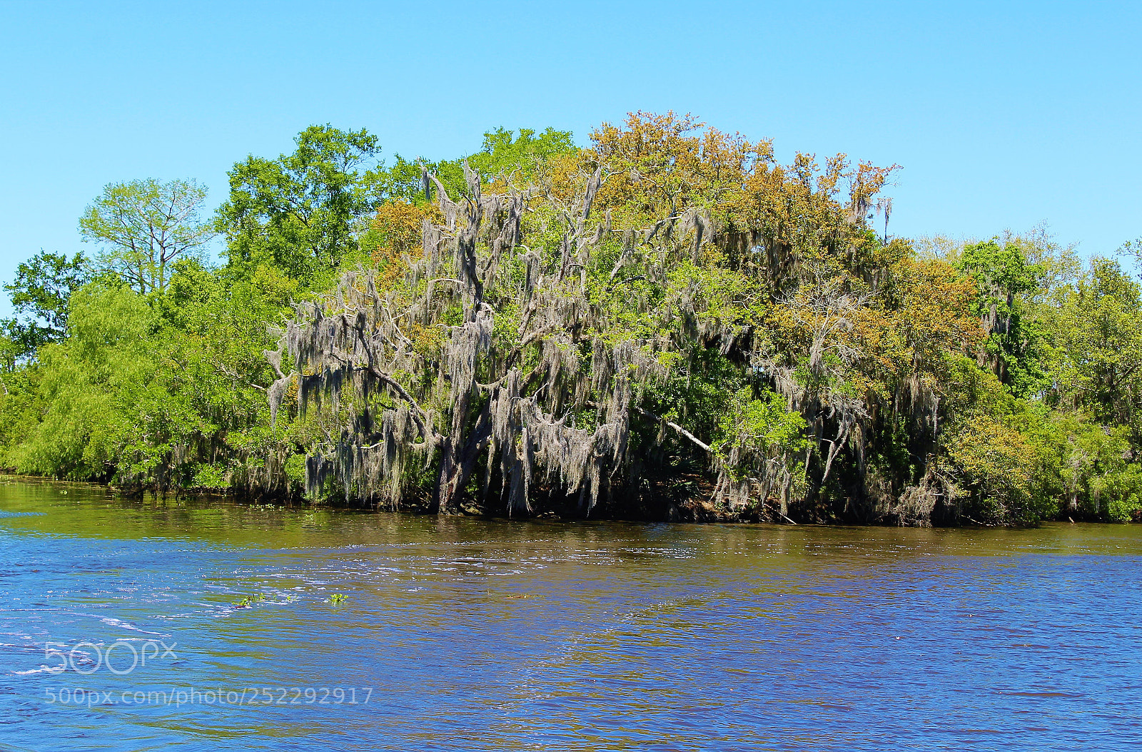 Canon EOS 1300D (EOS Rebel T6 / EOS Kiss X80) sample photo. Louisiana usa - fairy photography