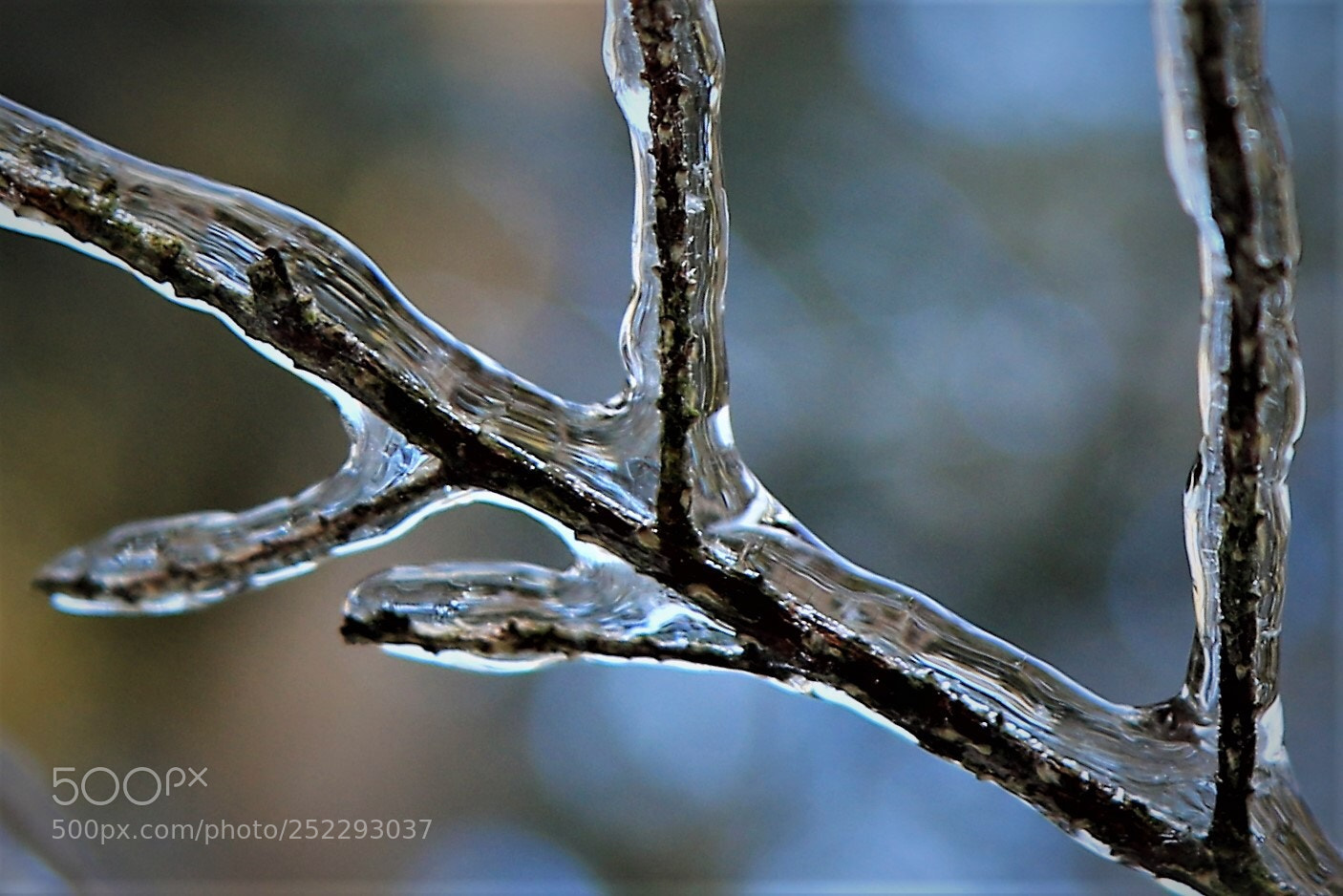 Canon EOS 7D Mark II sample photo. Winter chill photography