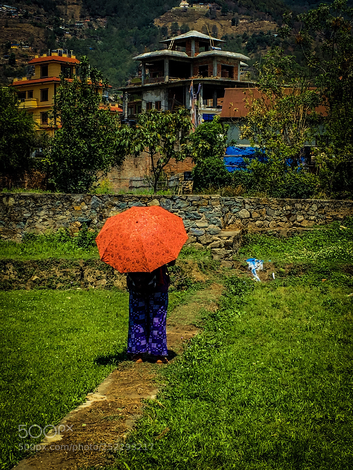 Apple iPhone 6s sample photo. Untitled photography