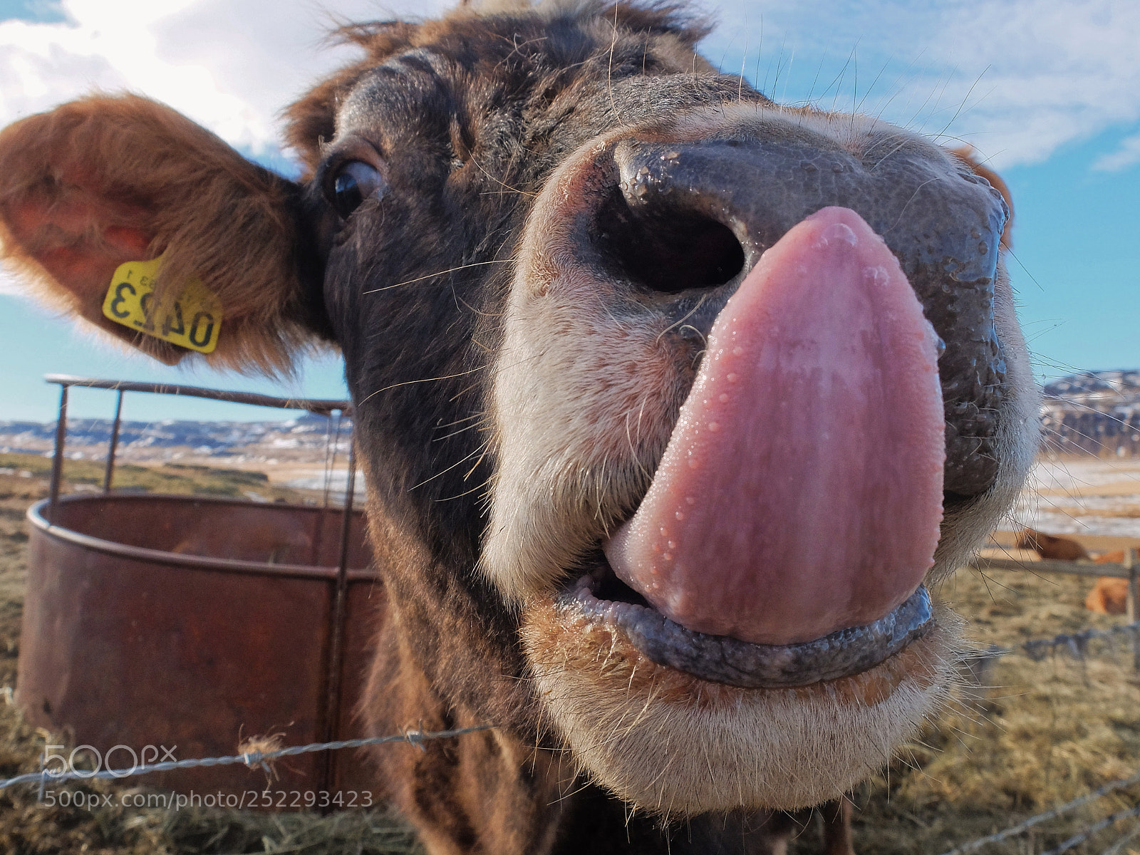 Fujifilm X30 sample photo. She wanted to lick photography