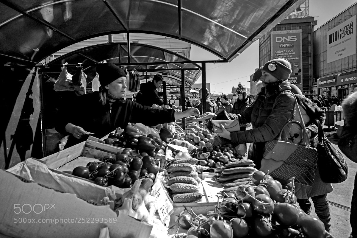 Sony Alpha NEX-5 sample photo. Untitled photography