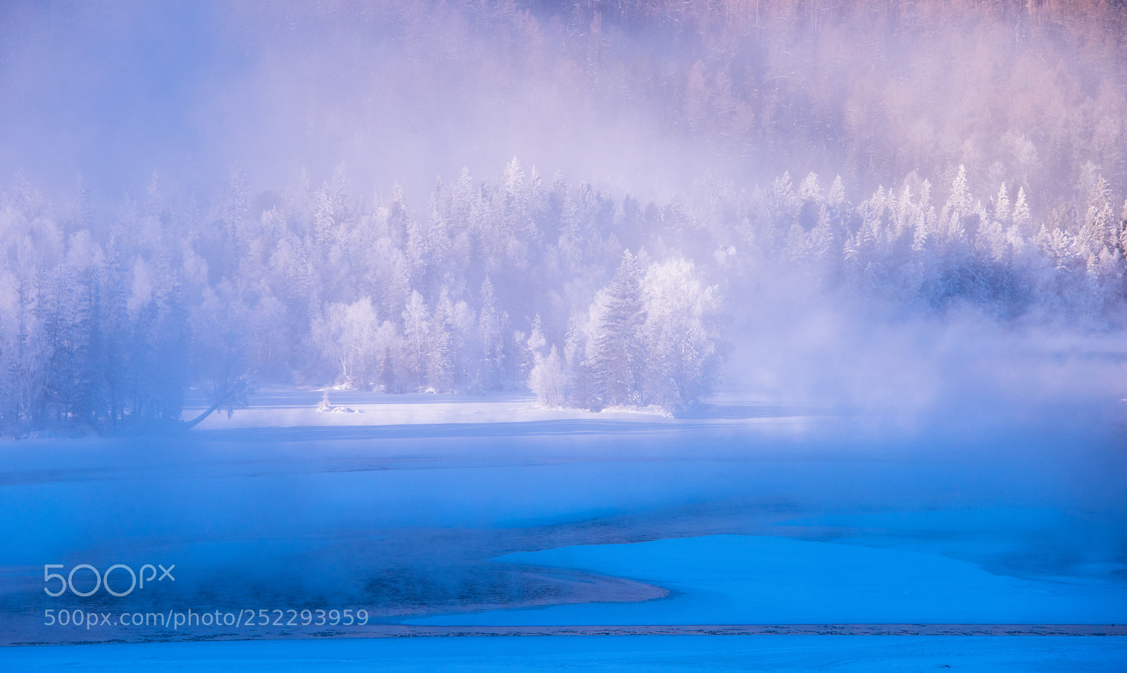 Nikon D810 sample photo. Magic bay morning 2 photography
