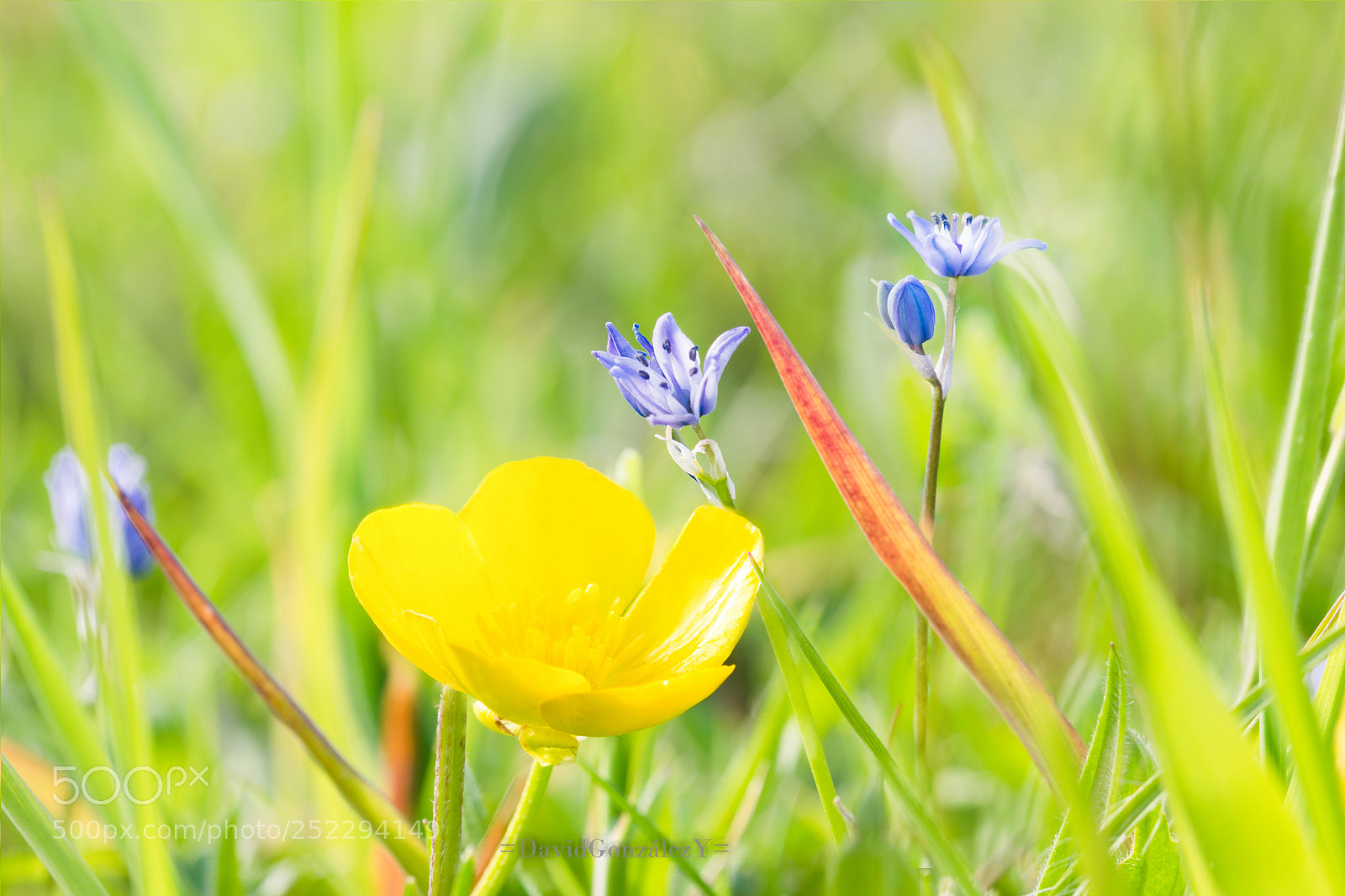 Nikon D5300 sample photo. Fusion a photography