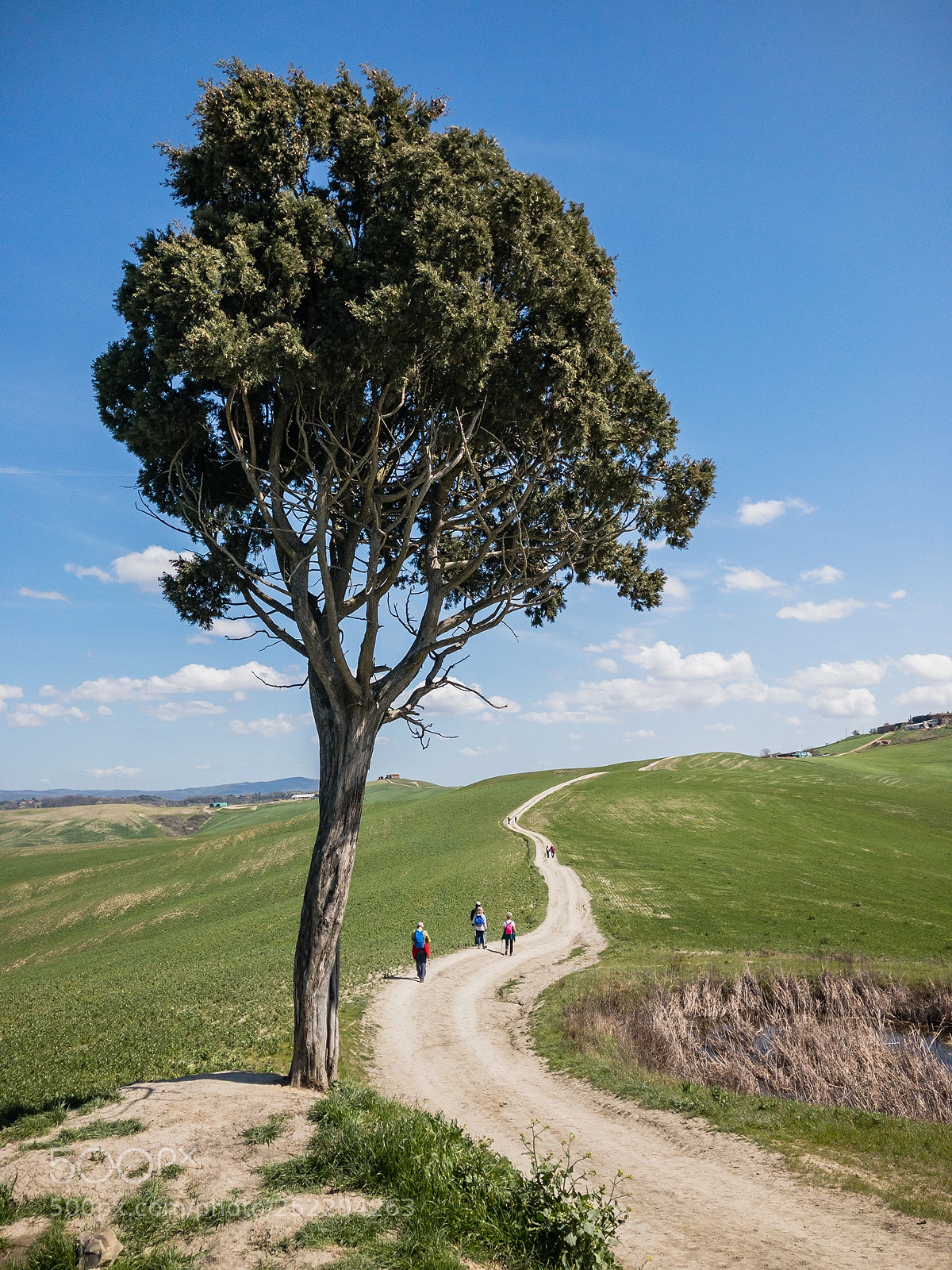 Apple iPhone 8 sample photo. Asciano - crete senesi photography