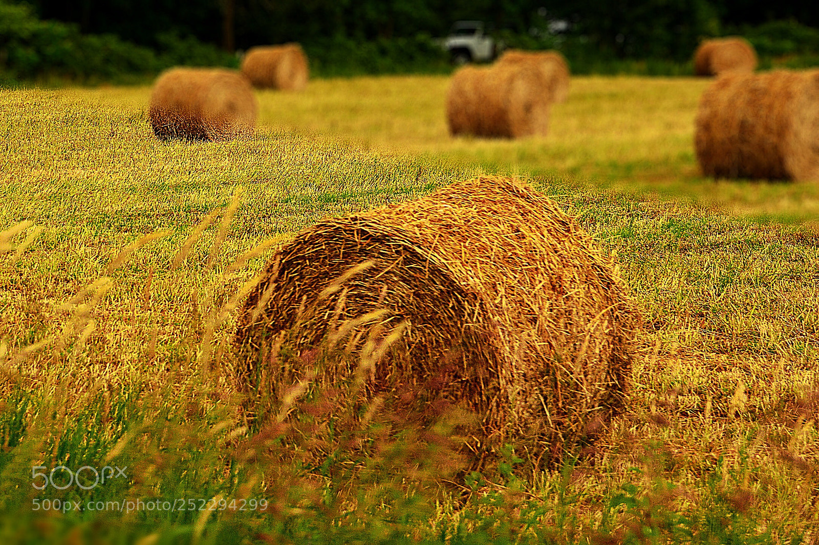 Nikon D7100 sample photo. Les foins photography