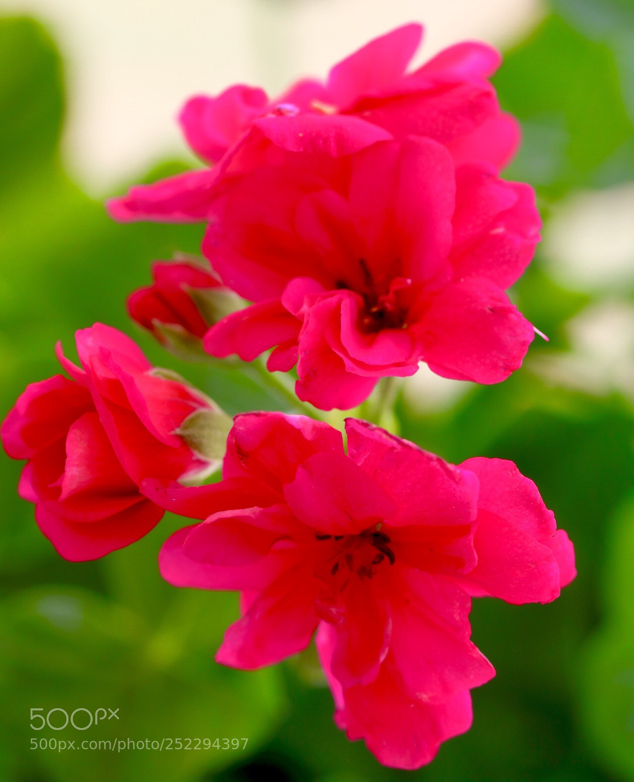 Canon EOS 750D (EOS Rebel T6i / EOS Kiss X8i) sample photo. Untitled photography