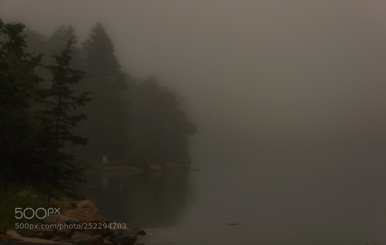 Nikon D90 sample photo. Pond in mist photography