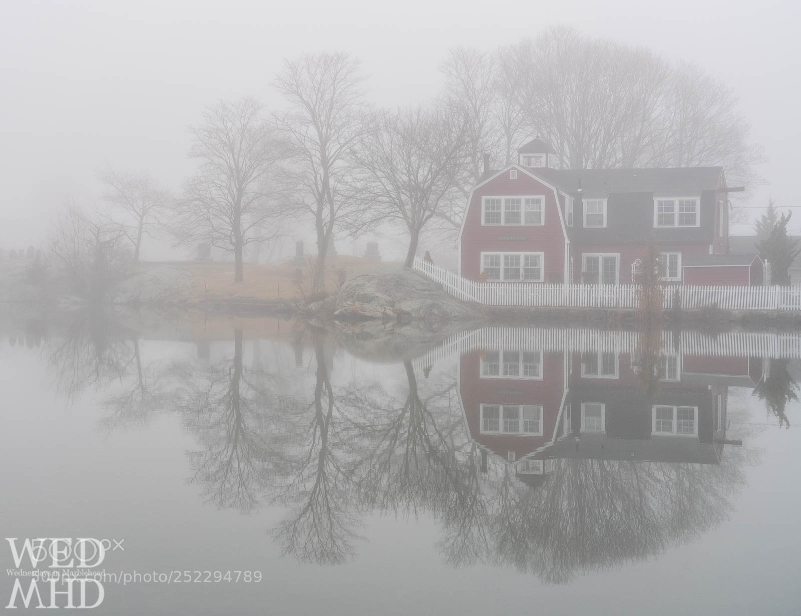 Sony a7R III sample photo. Foggy morning at redd's photography