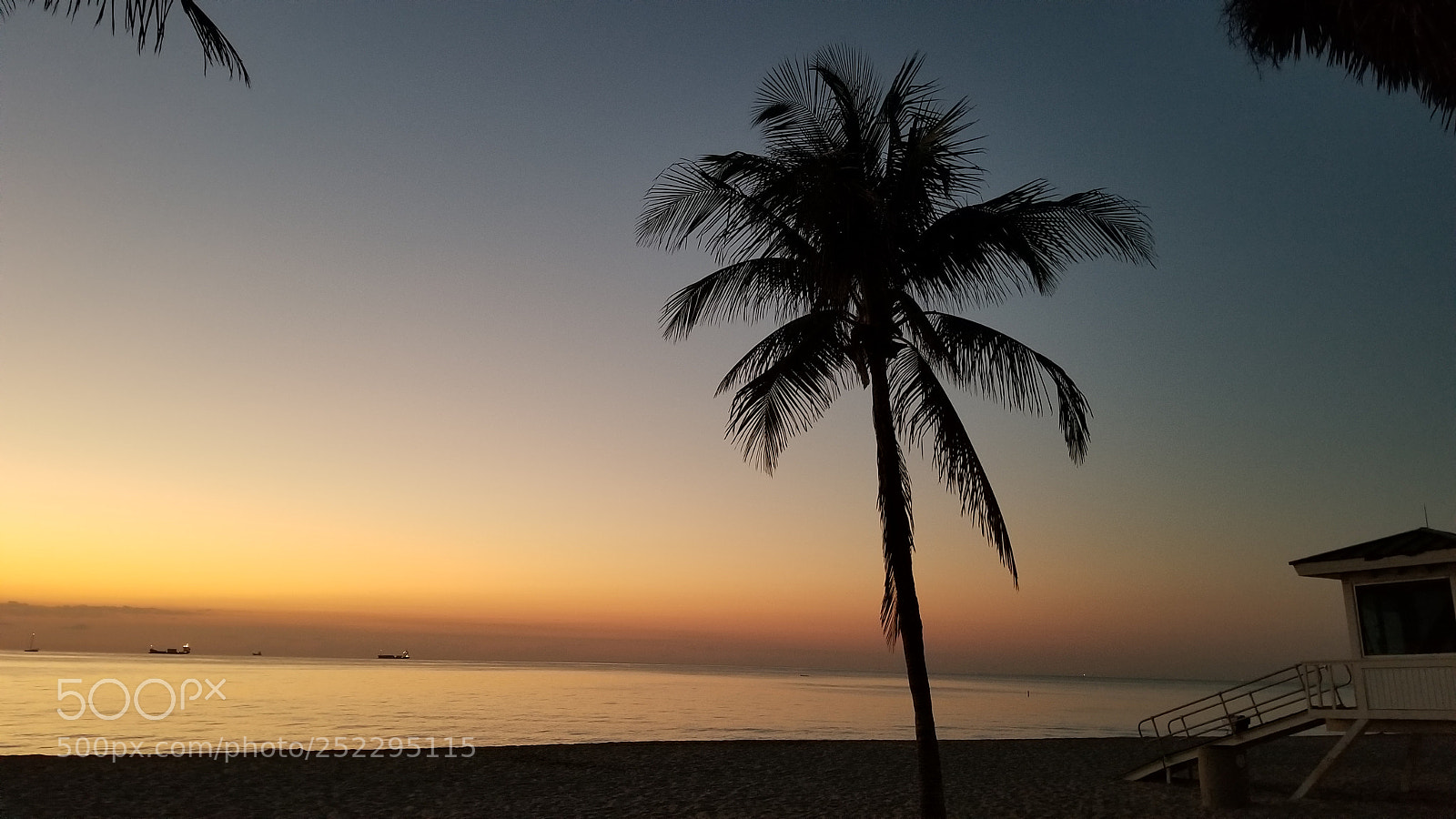 Samsung Galaxy S8+ sample photo. Untitled photography