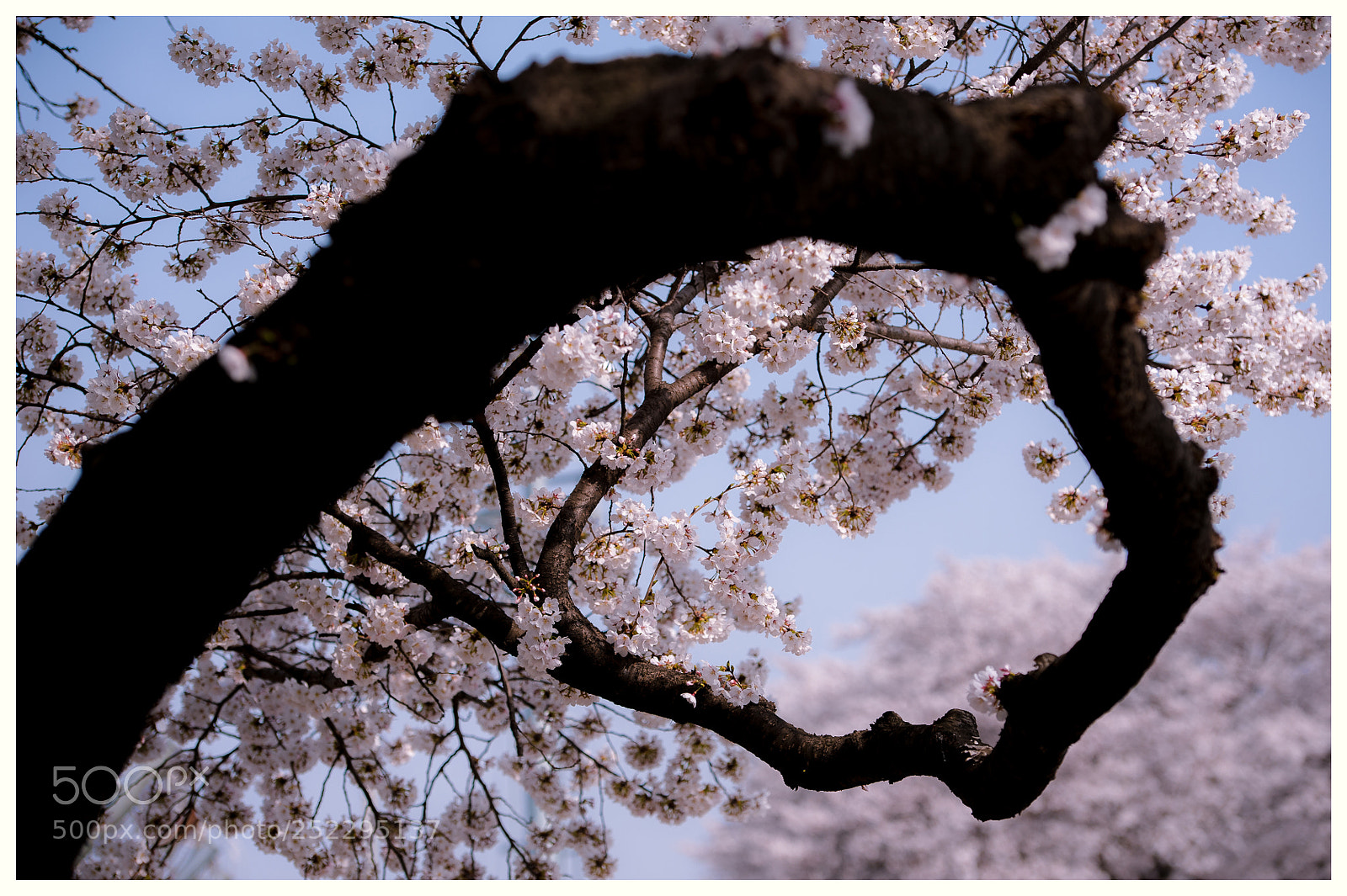 Nikon D700 sample photo. Untitled photography