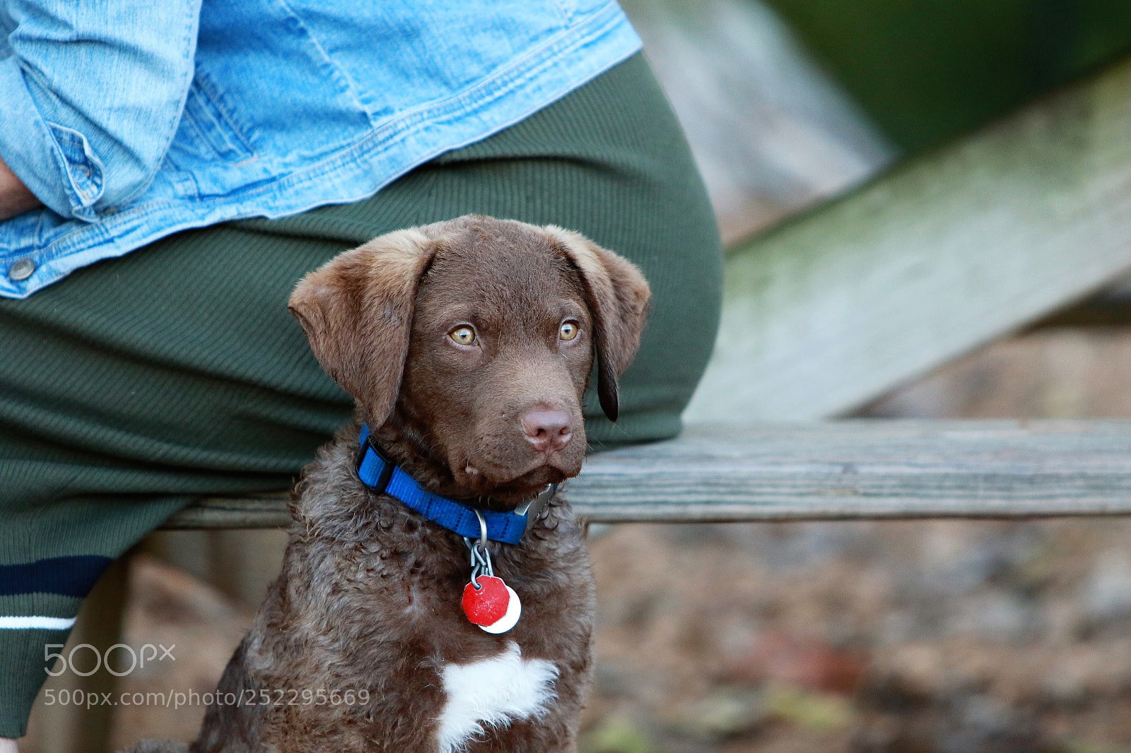 Canon EOS 7D Mark II sample photo. Eyes of an angel photography