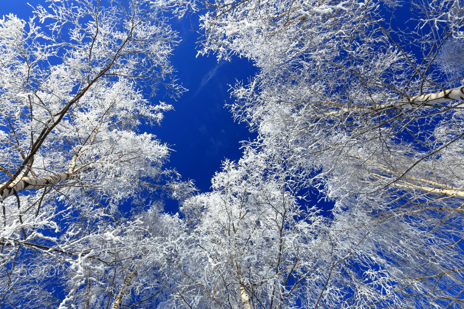 Canon EF 16-35mm F2.8L II USM sample photo. Under the blue sky... photography