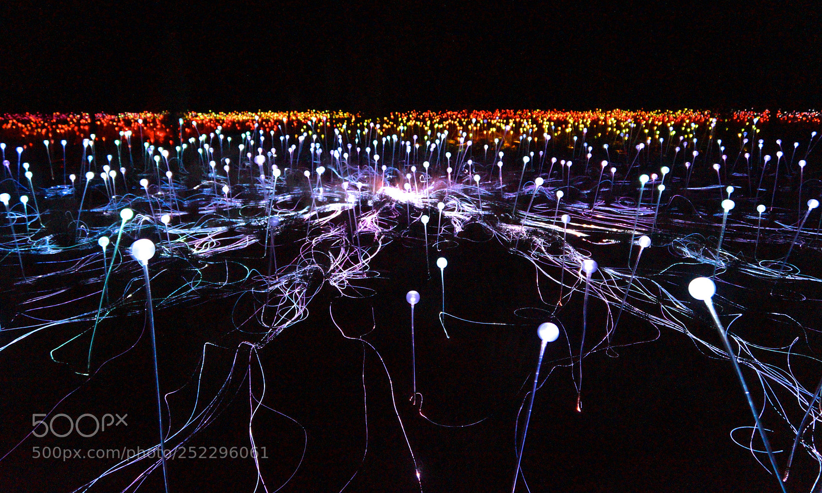 Sony SLT-A58 sample photo. Field of light uluru photography
