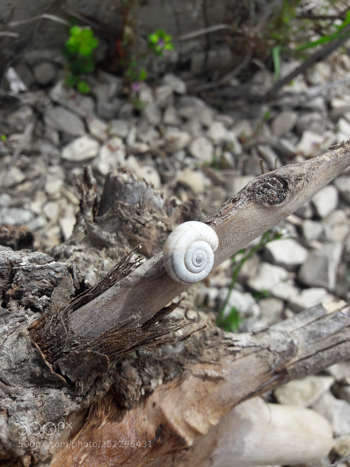 Samsung Galaxy A5(2016) sample photo. Untitled photography