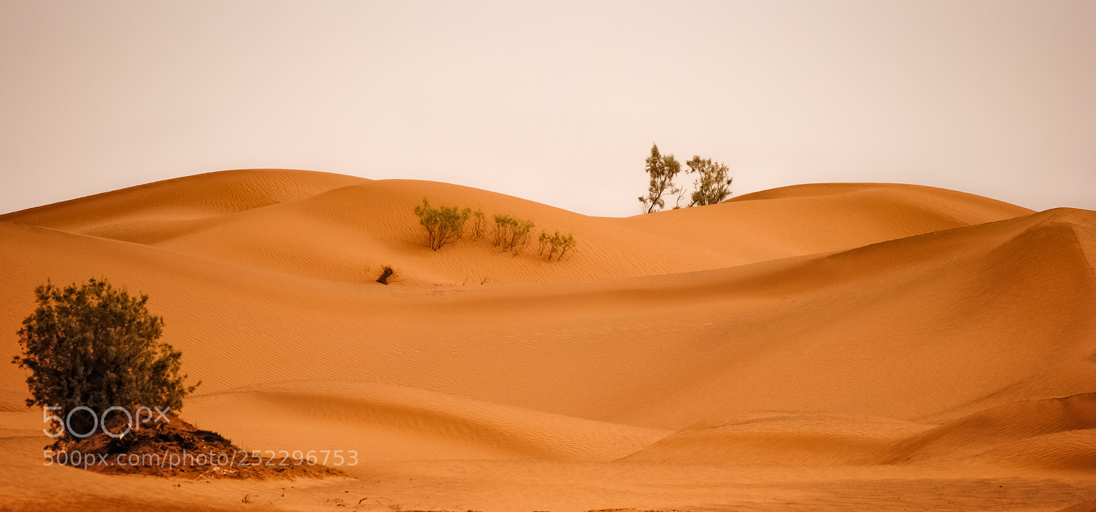 Nikon D3000 sample photo. Sandhills photography