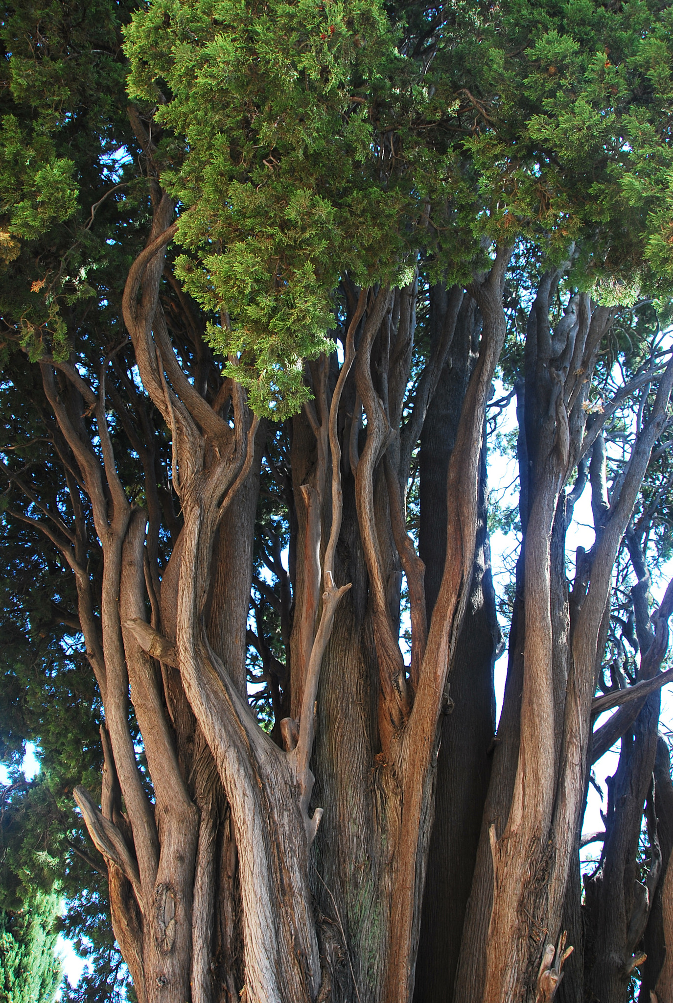 Nikon D60 sample photo. Eeffborig photography