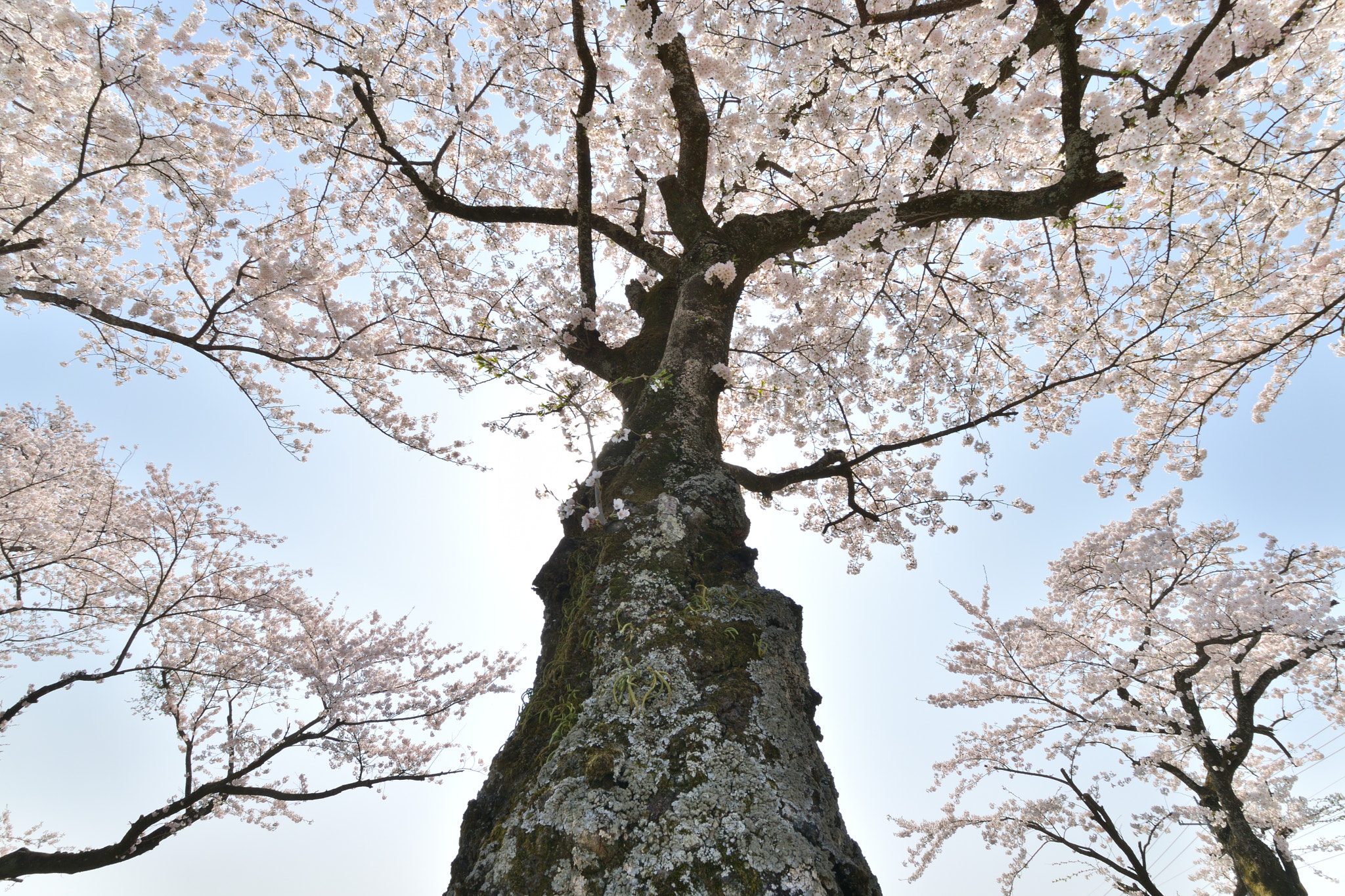 Nikon D5300 + Sigma 10-20mm F3.5 EX DC HSM sample photo. Dsc photography