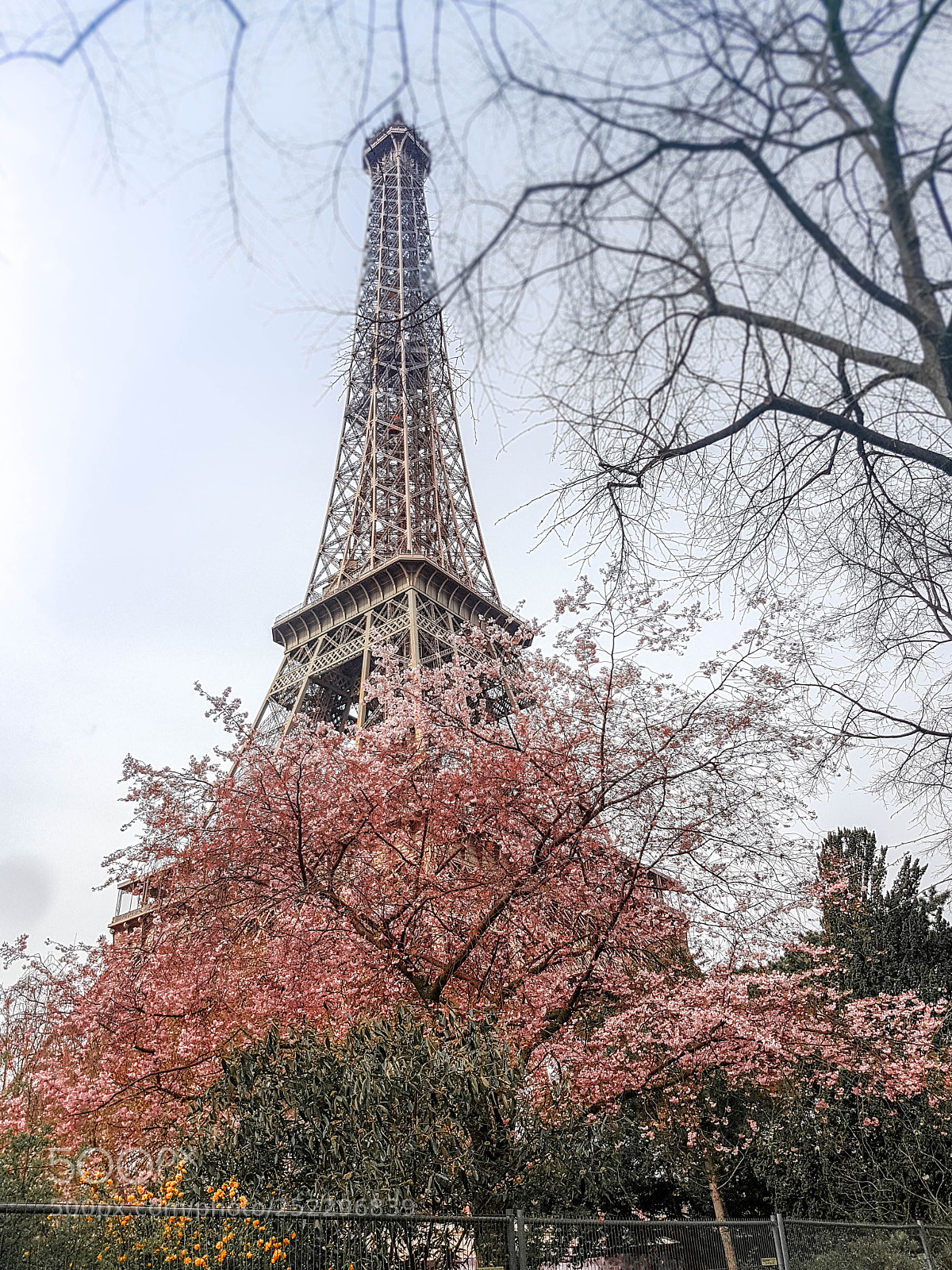 Samsung Galaxy S7 sample photo. Spring in paris photography